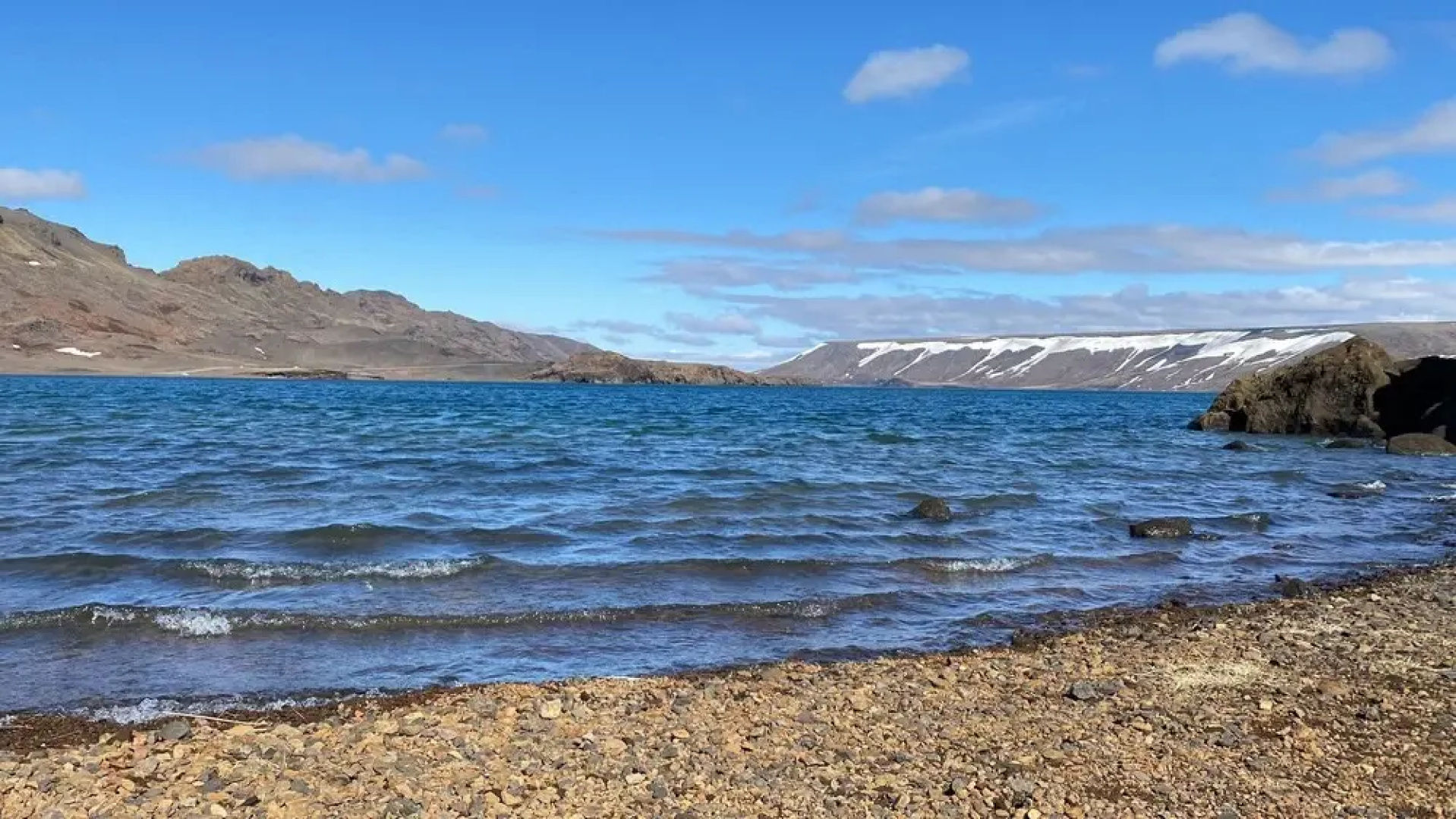 Arctic Wind