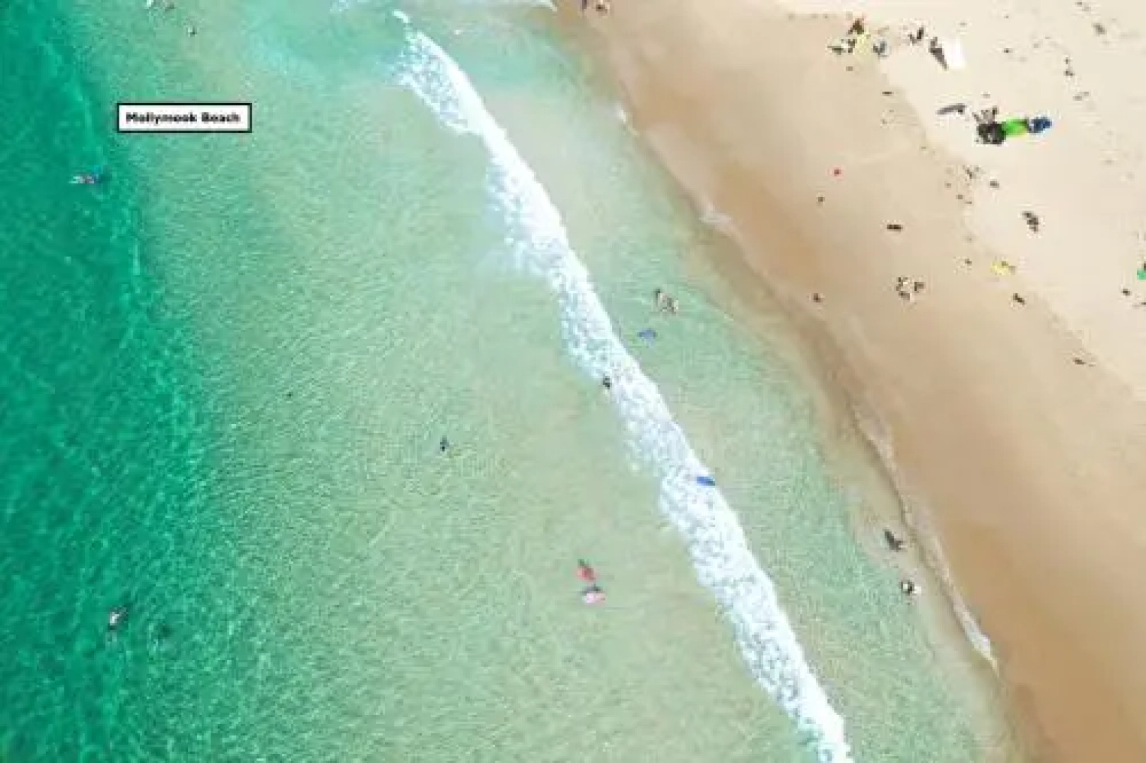 11 Riley St - Stylishly Modern