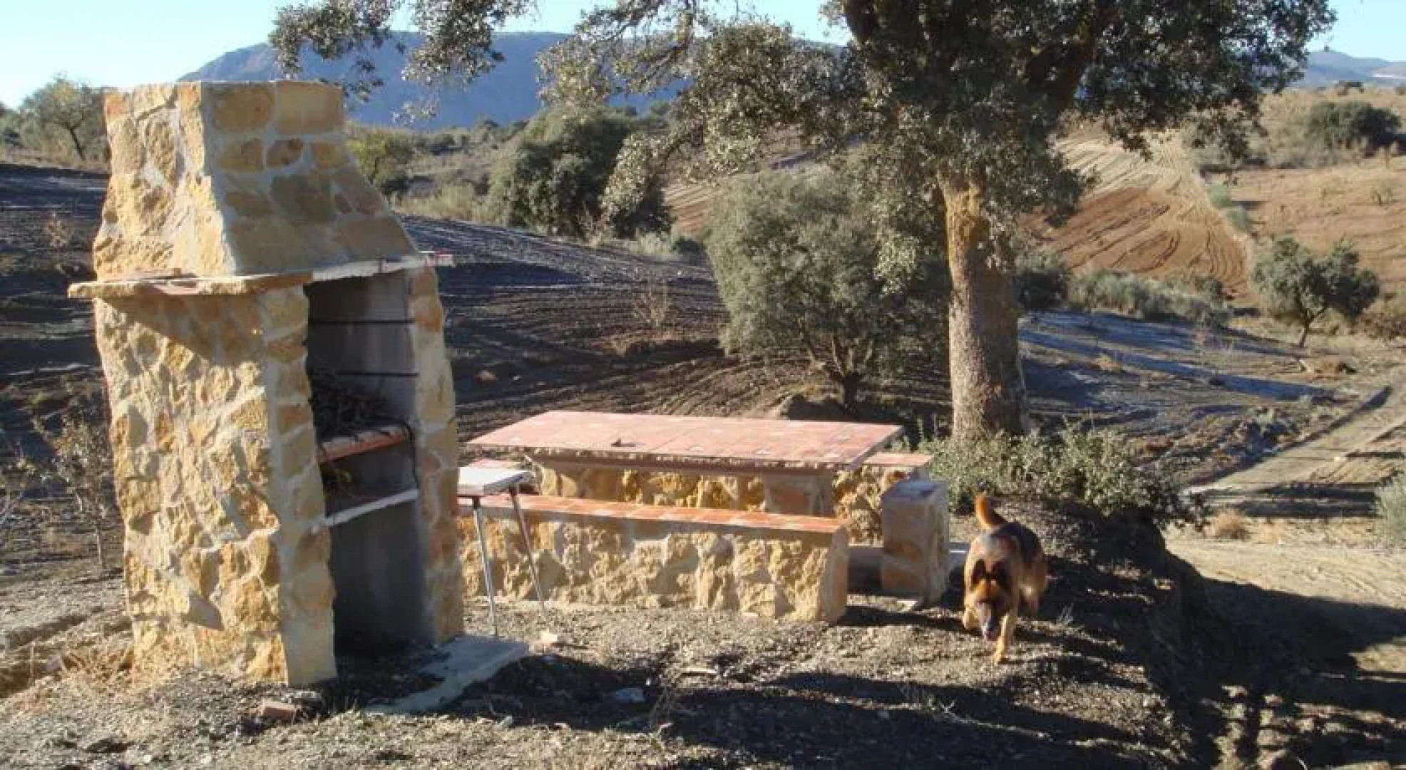 Cortijo La Encina