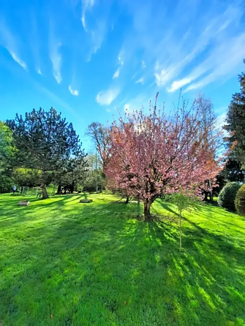Les Étangs du Moulin d'Harcy