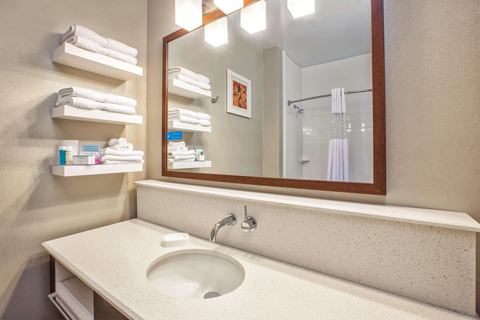 Hampton Inn Hotel Detroit/Belleville-Airport Area