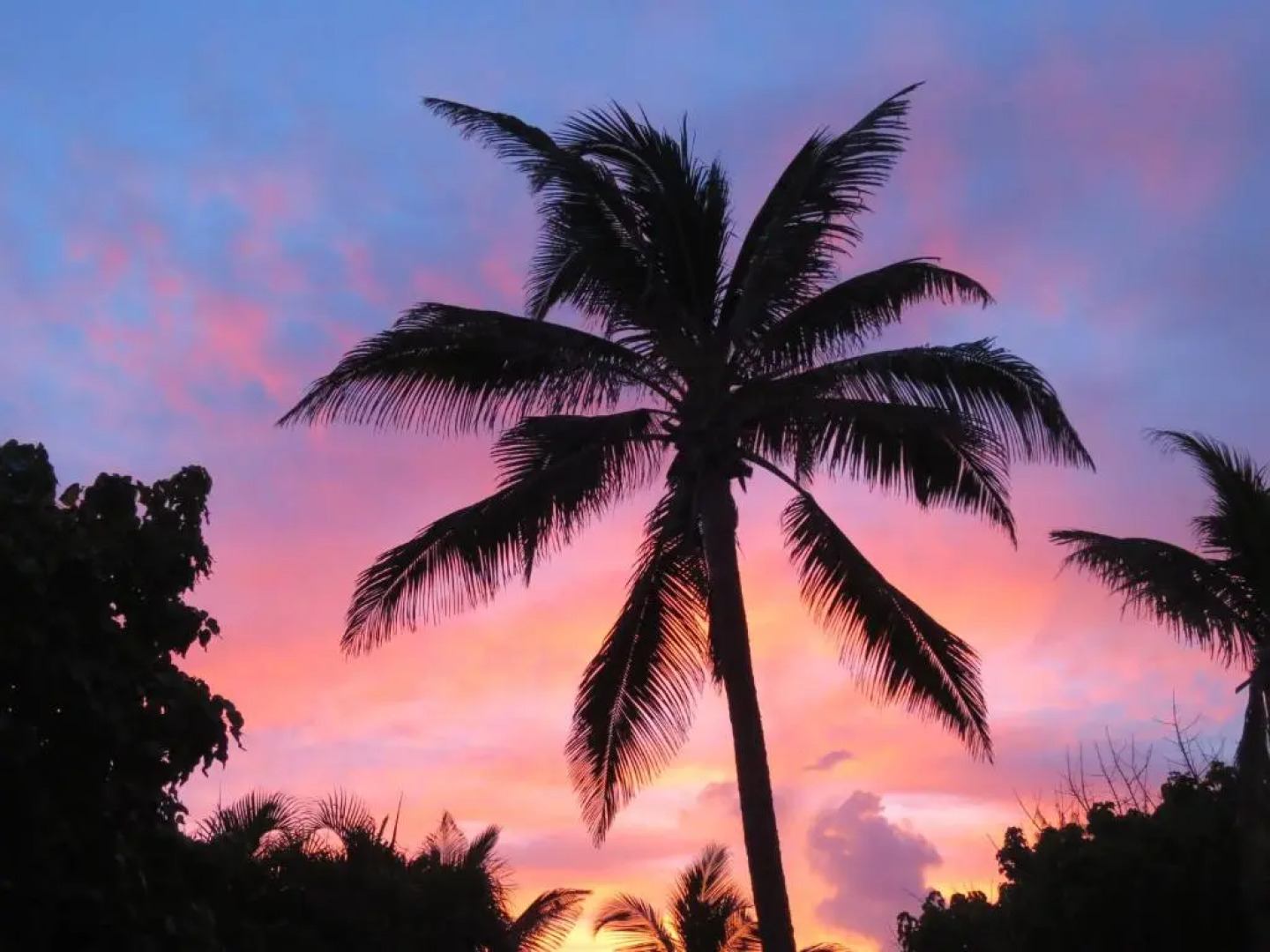 Inchcape Seaside Villas