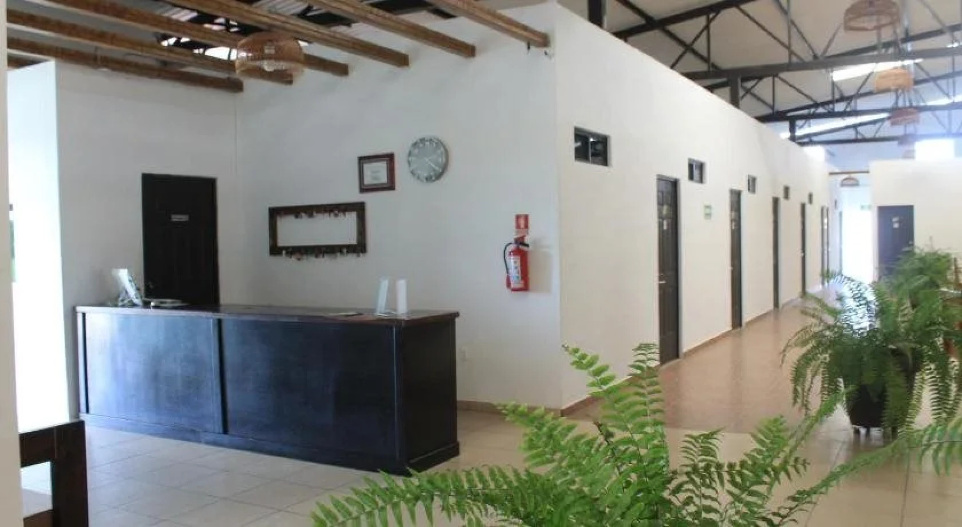 Real Primaveras Campestre