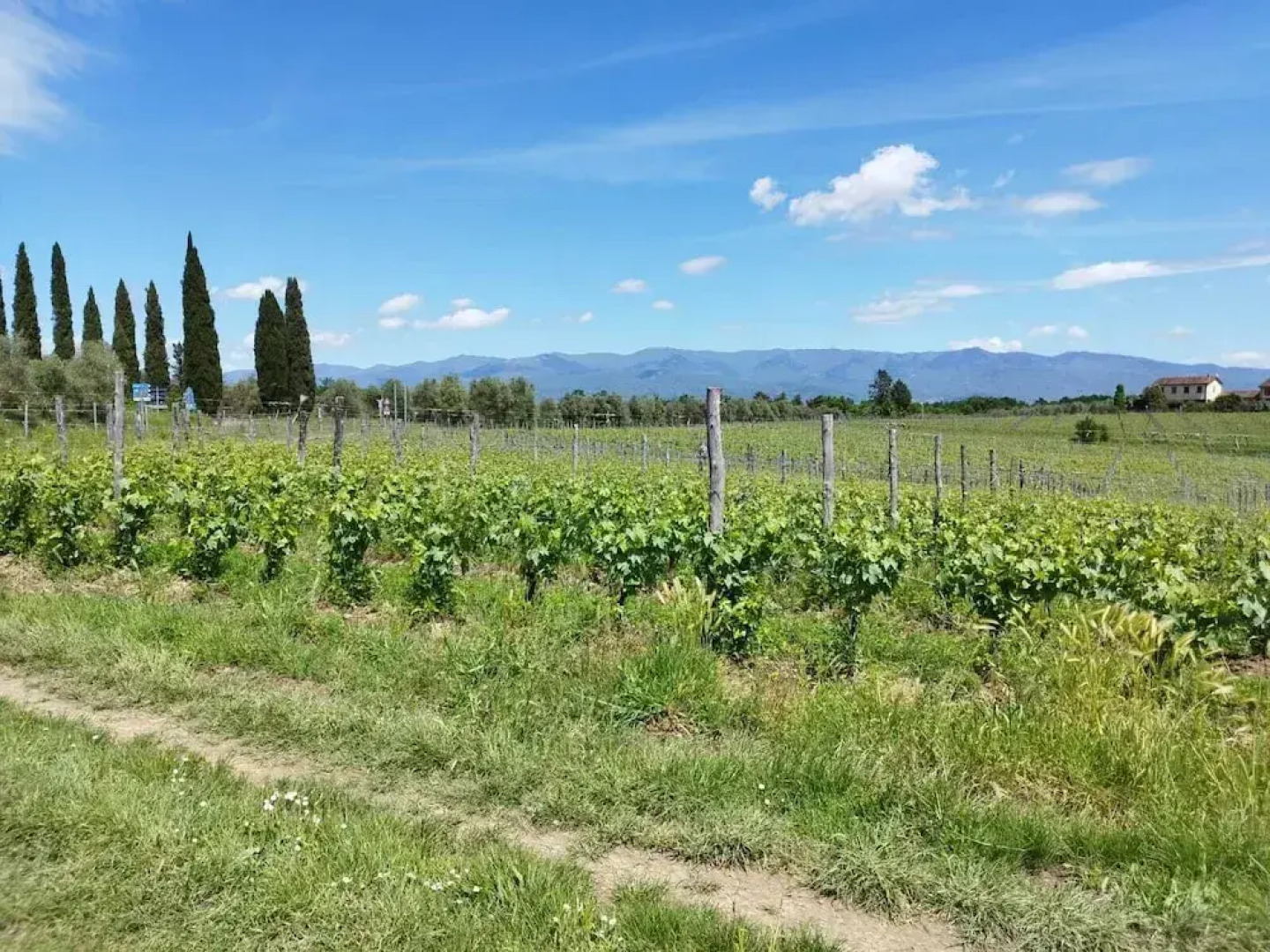 Agriturismo Tenuta San Jacopo