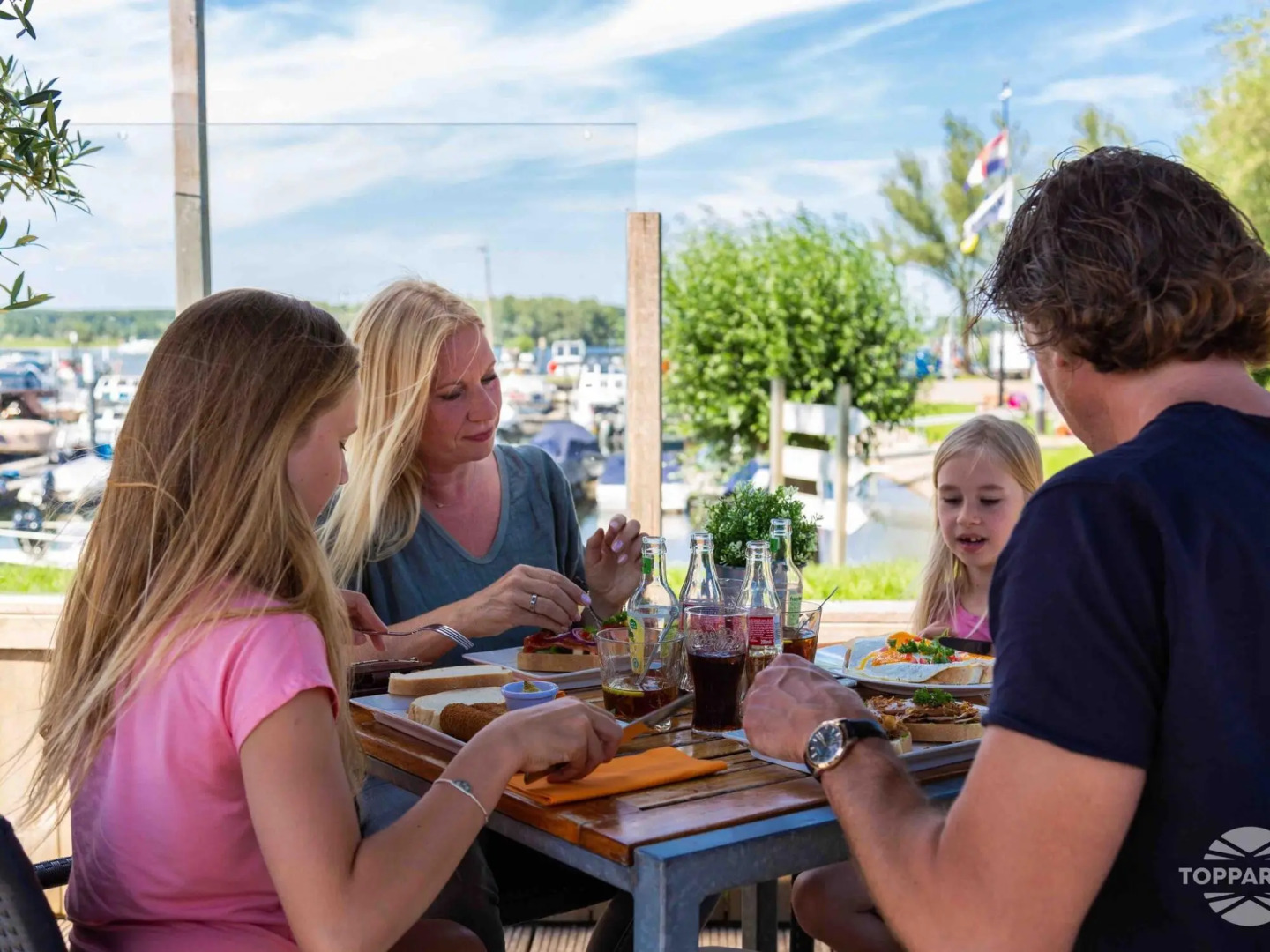 Modern chalet with sauna and spa, on a holiday park in a wetland area