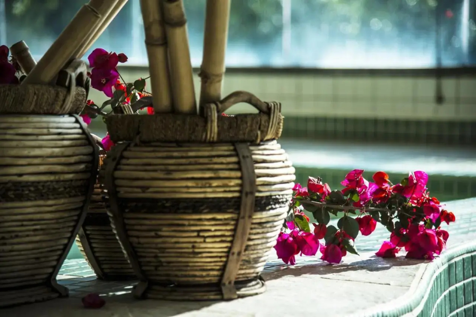 Oscar Inn Eco Resort