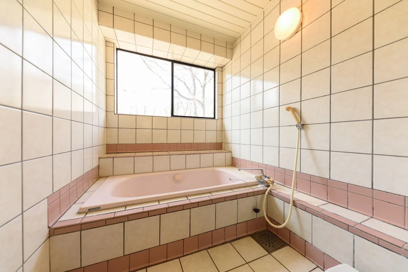 Kujukogen Ginga no Yado Kinoko IIseigo