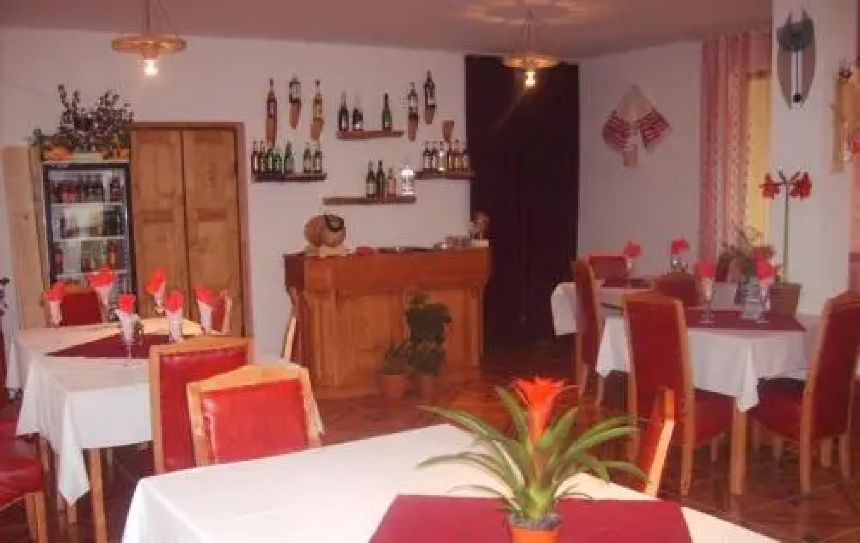 Pensiunea Vidra de Sus