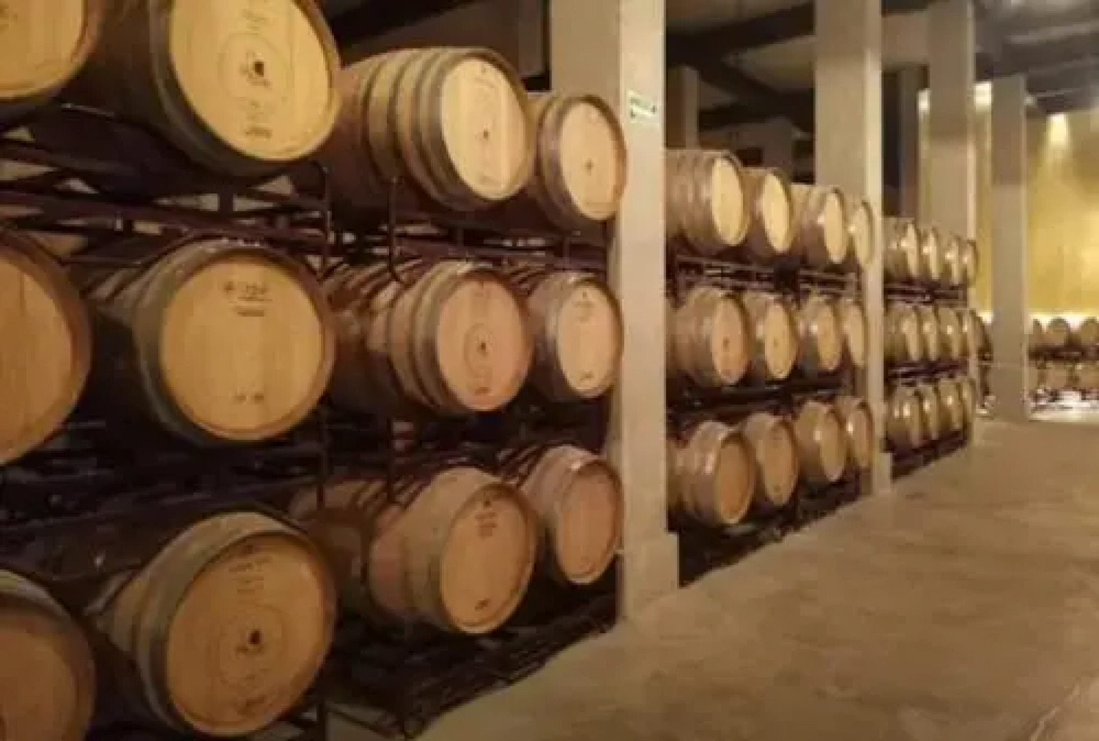 HUGE HOTEL room FOR 6/LOWEST rate