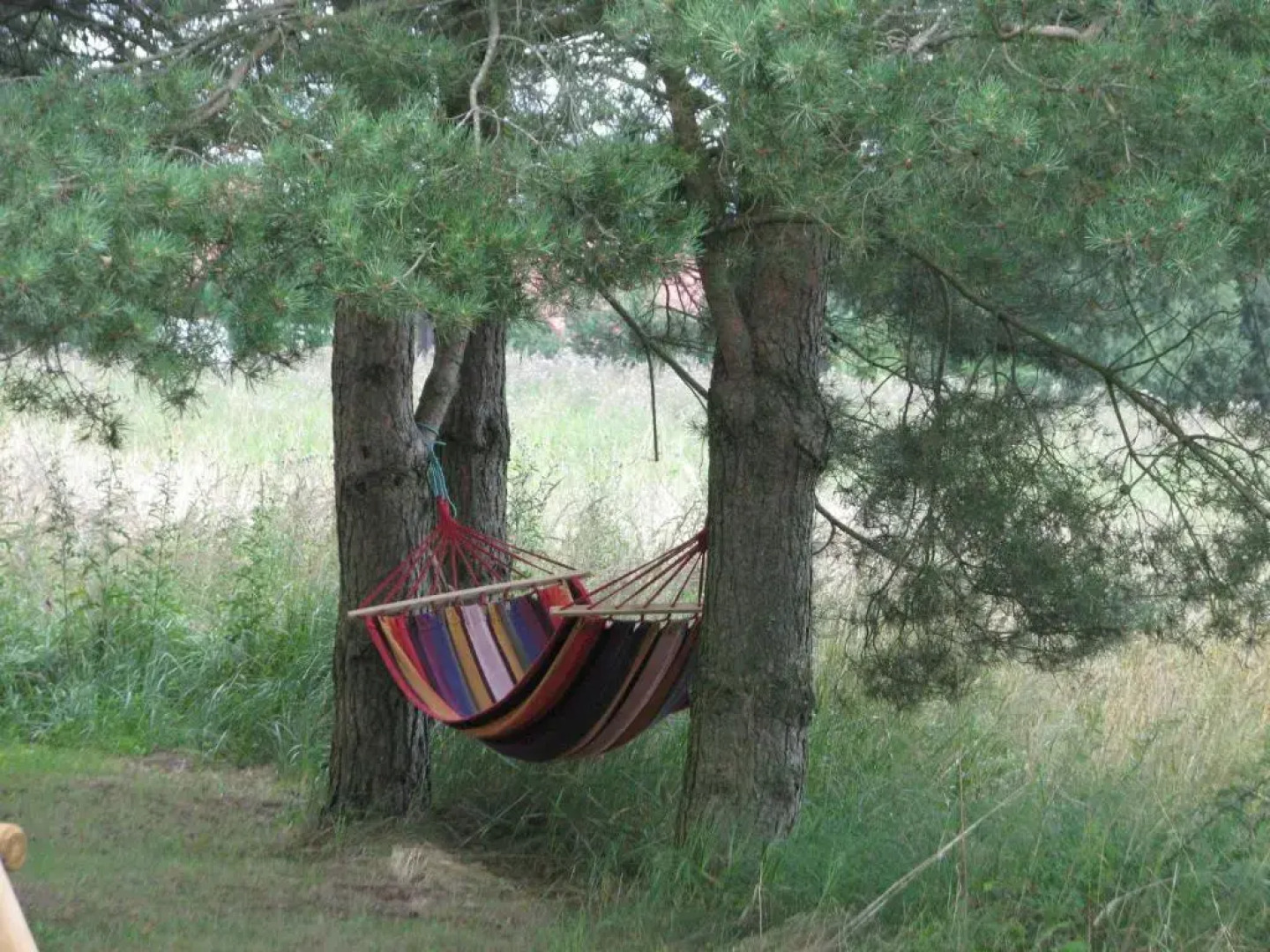 Dom na Krańcu Świata