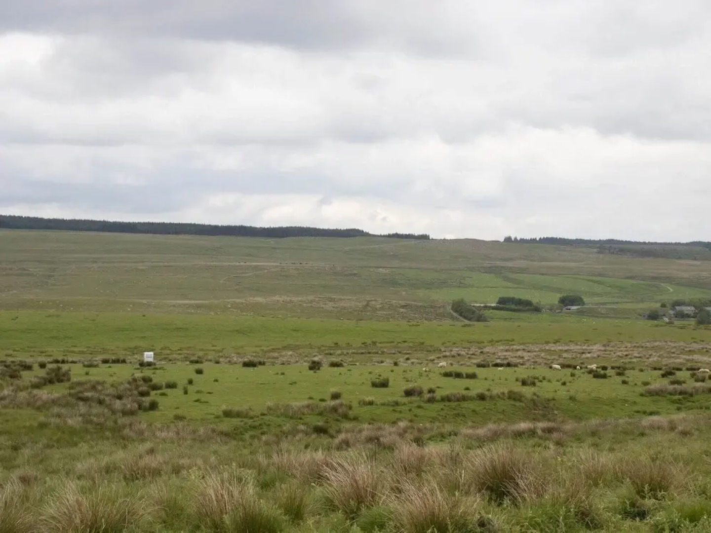 Luxury refurbished Gamekeeper's cottage, 15 acres of woodland by Hadrian's Wall