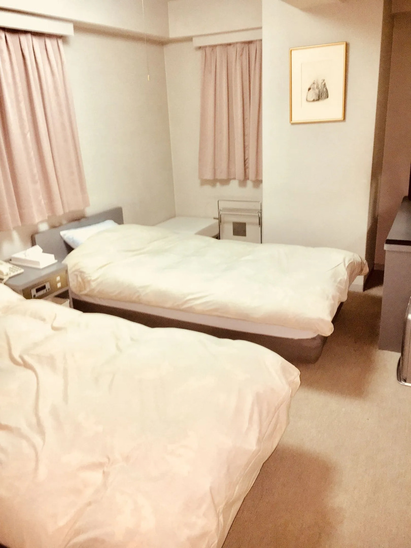 Hotel Alphastar Iwappara