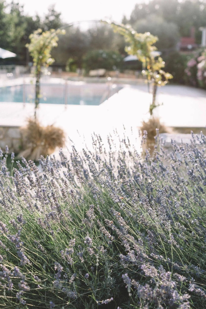 Tenuta Marchesi Fezia