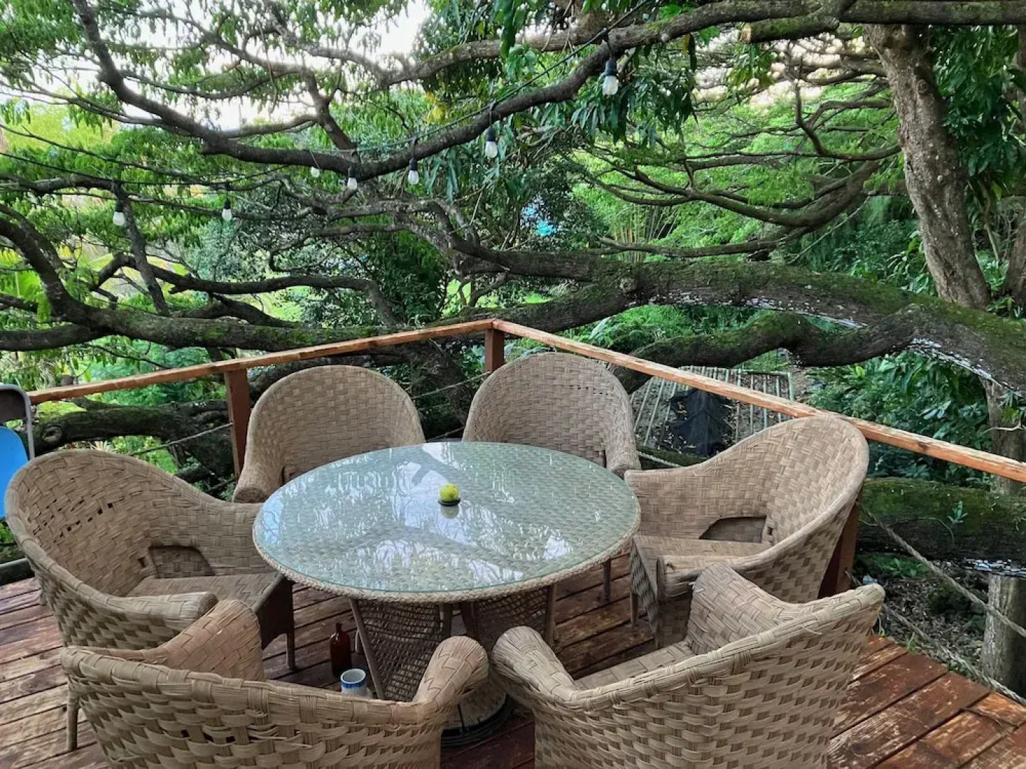 SweetSpotStay-Enchanted Grotto