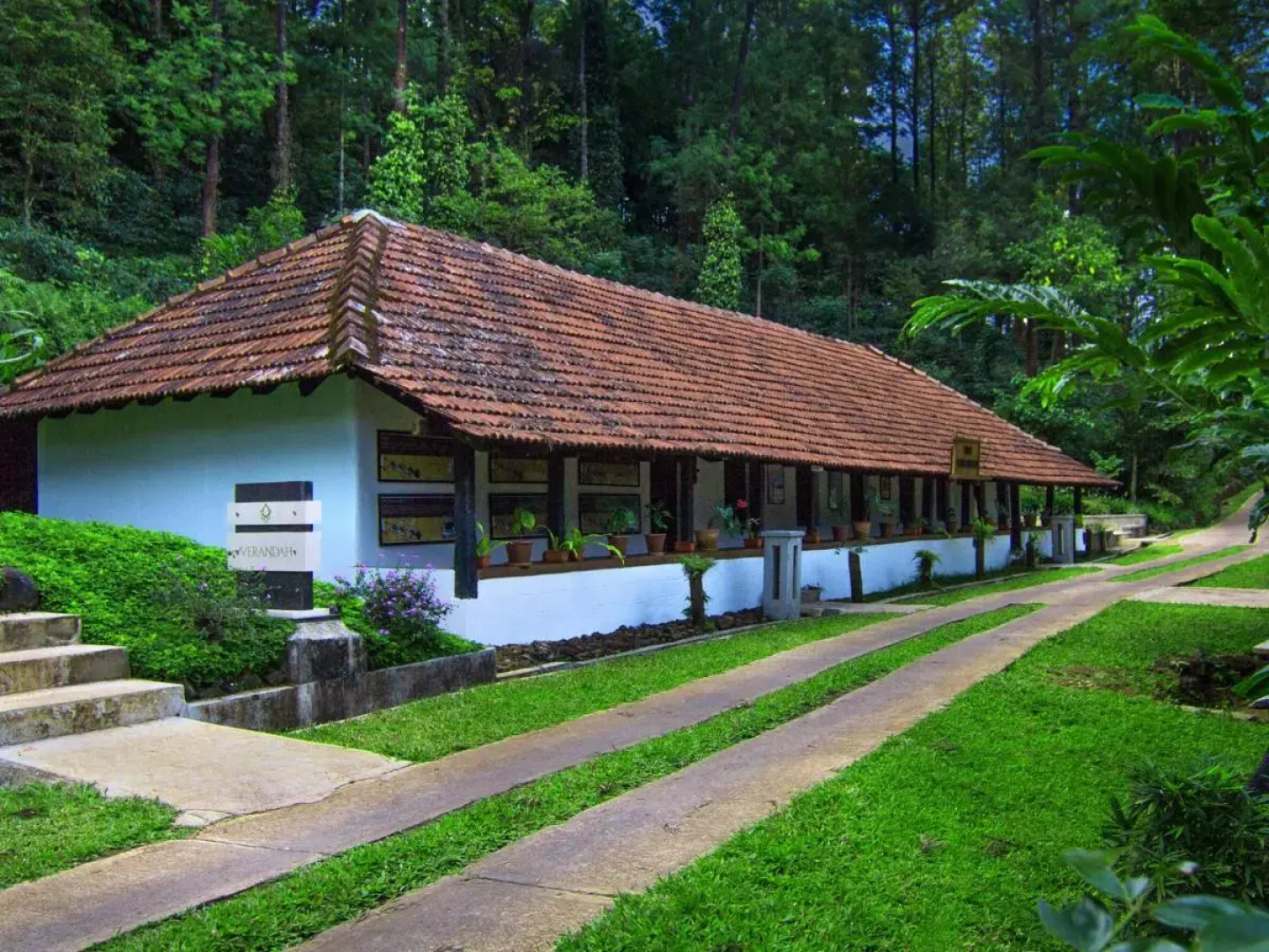 The Tamara Coorg