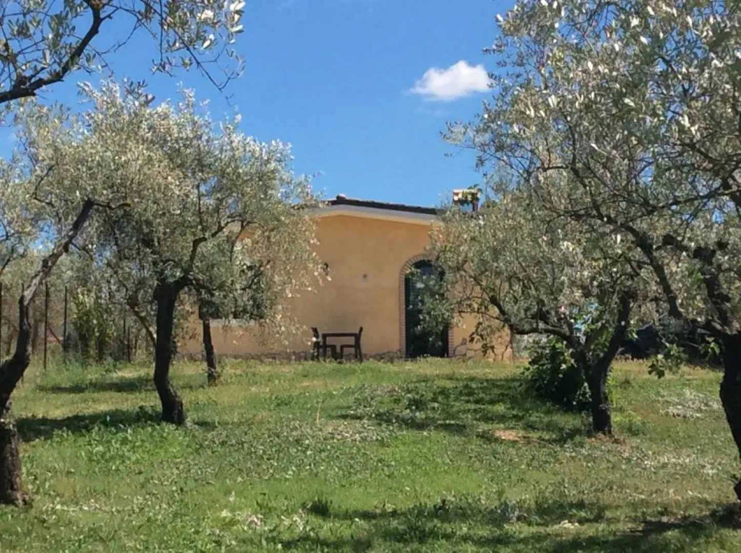 Il Girasole