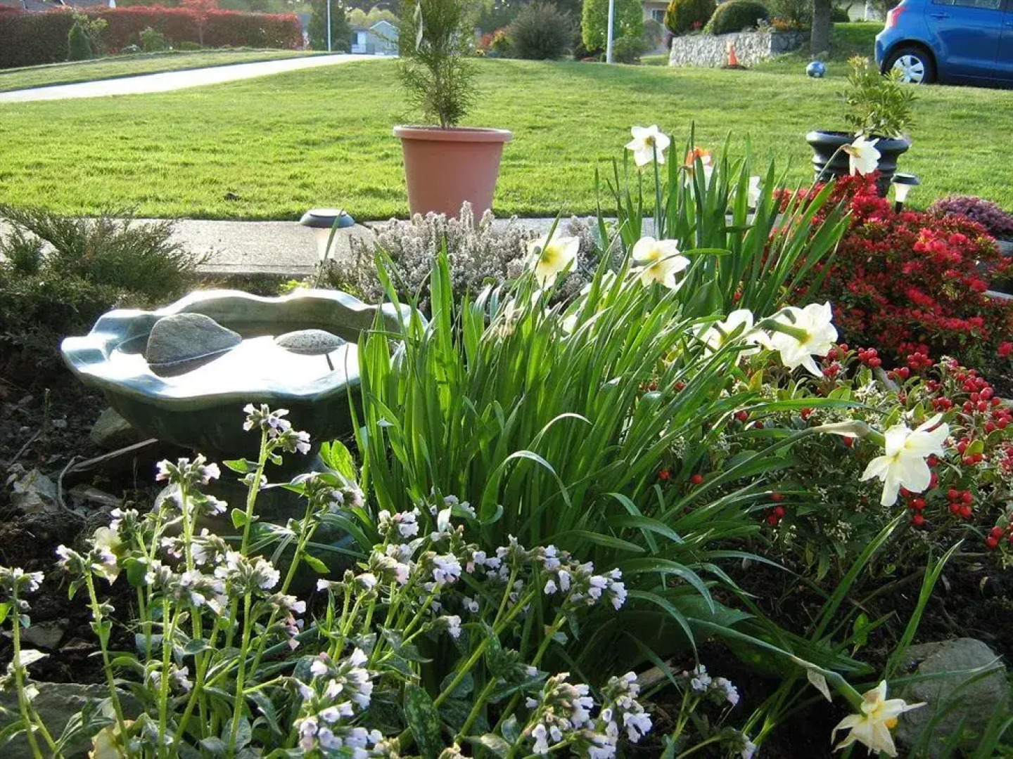 Royal Pacific Charters & Suites