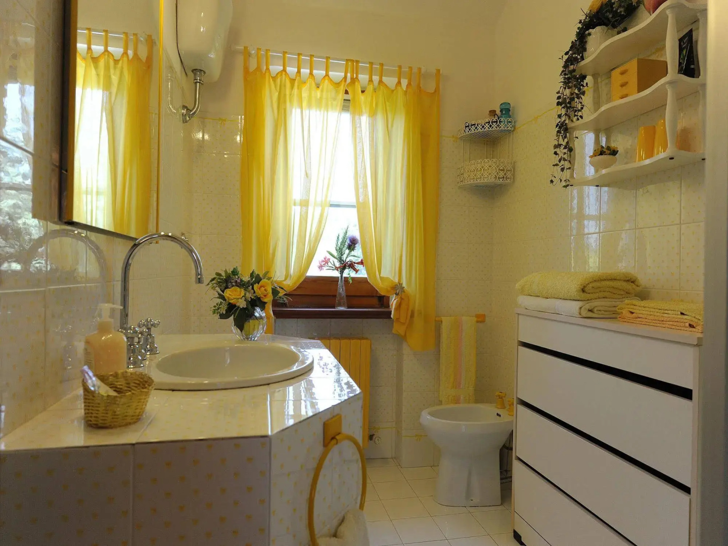 B&B Glicine