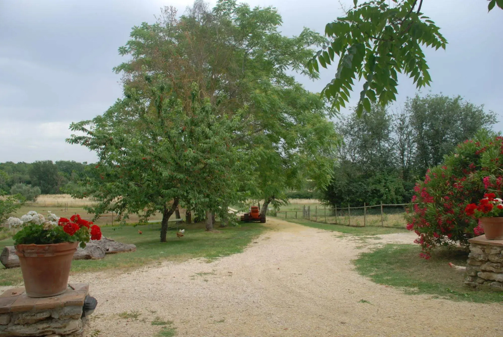 Agriturismo Podere Conte Ràcani