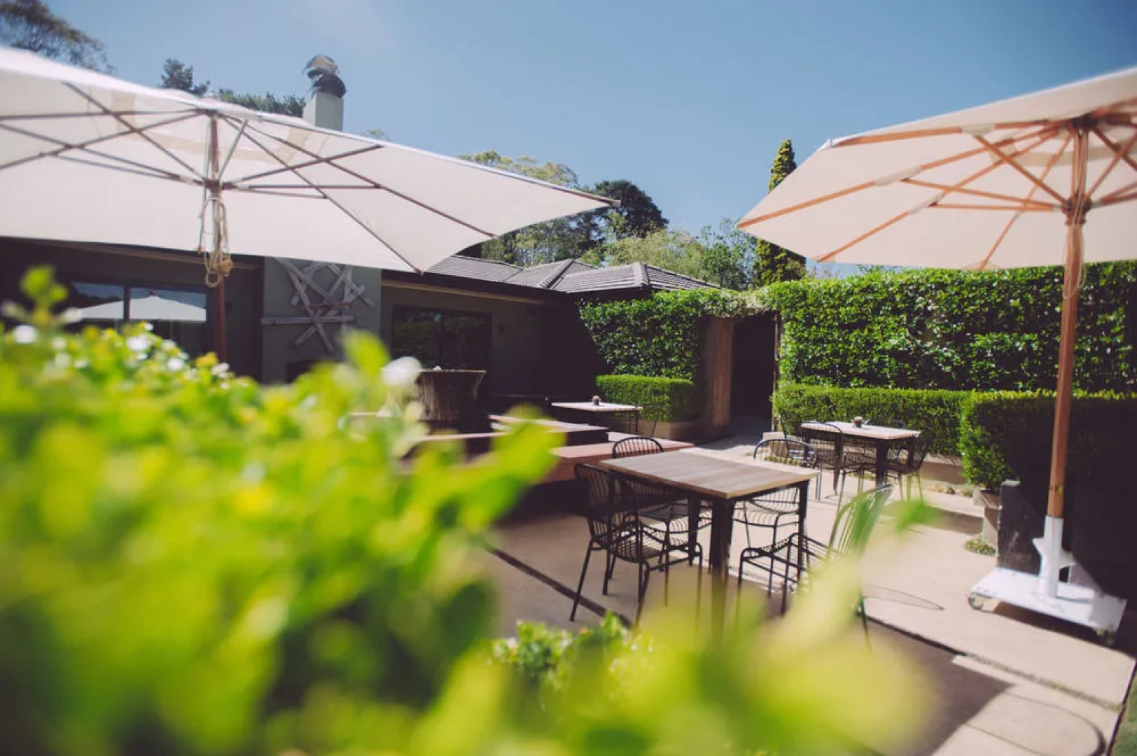 Biota Dining & Rooms