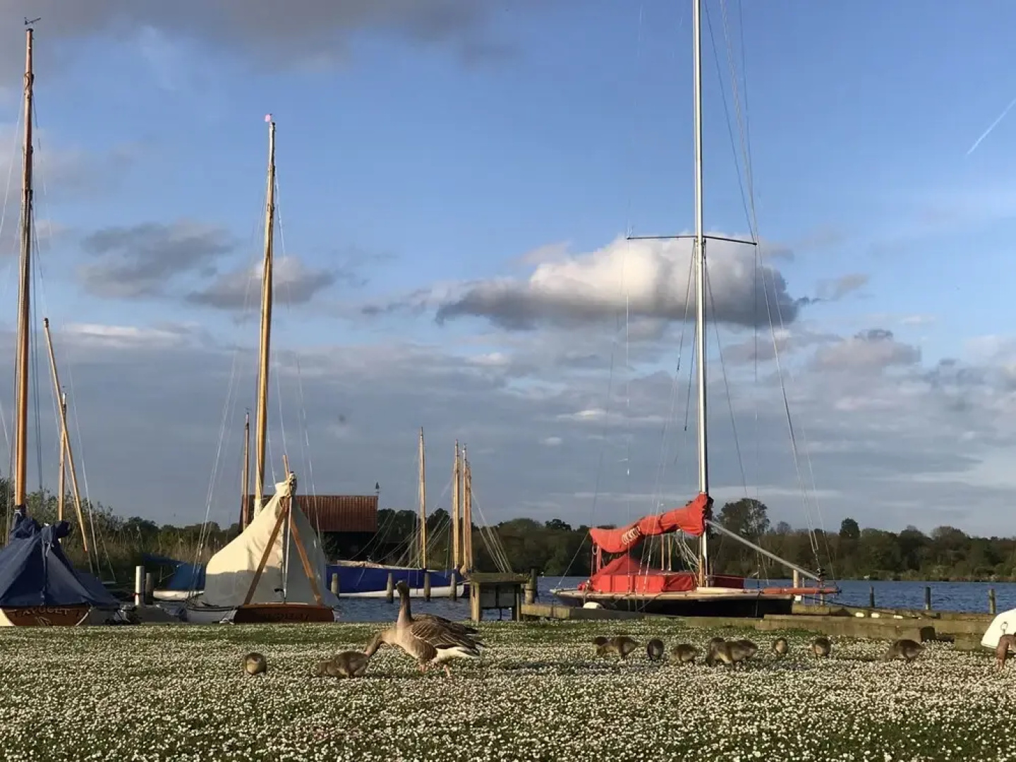 Foxglove Bell Tent in The Broads National Park