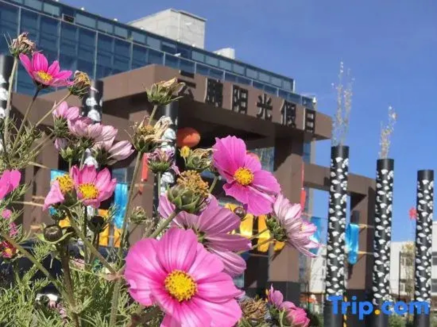 Yunpeng Sunshine Holiday Hotel