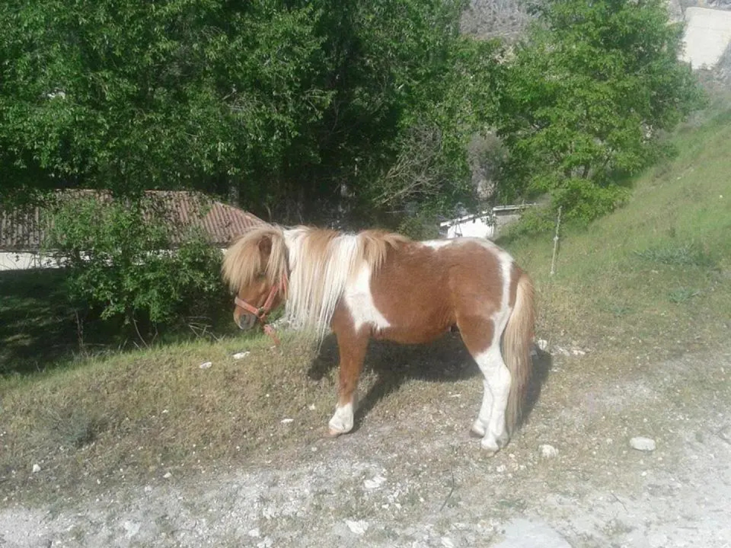 Casa Turismo Rural Pantano de Burgomillodo