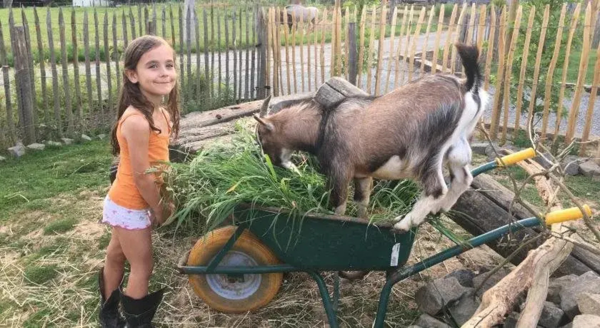 B&B La Douceur de la Miclette