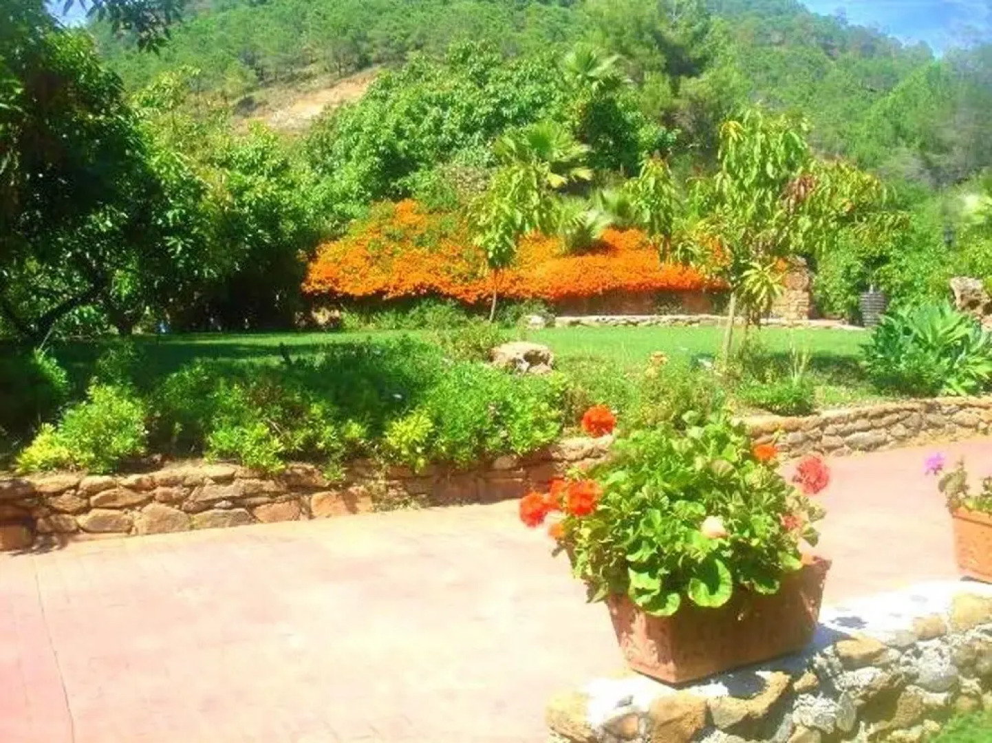 Villa Camino del charco de la viña