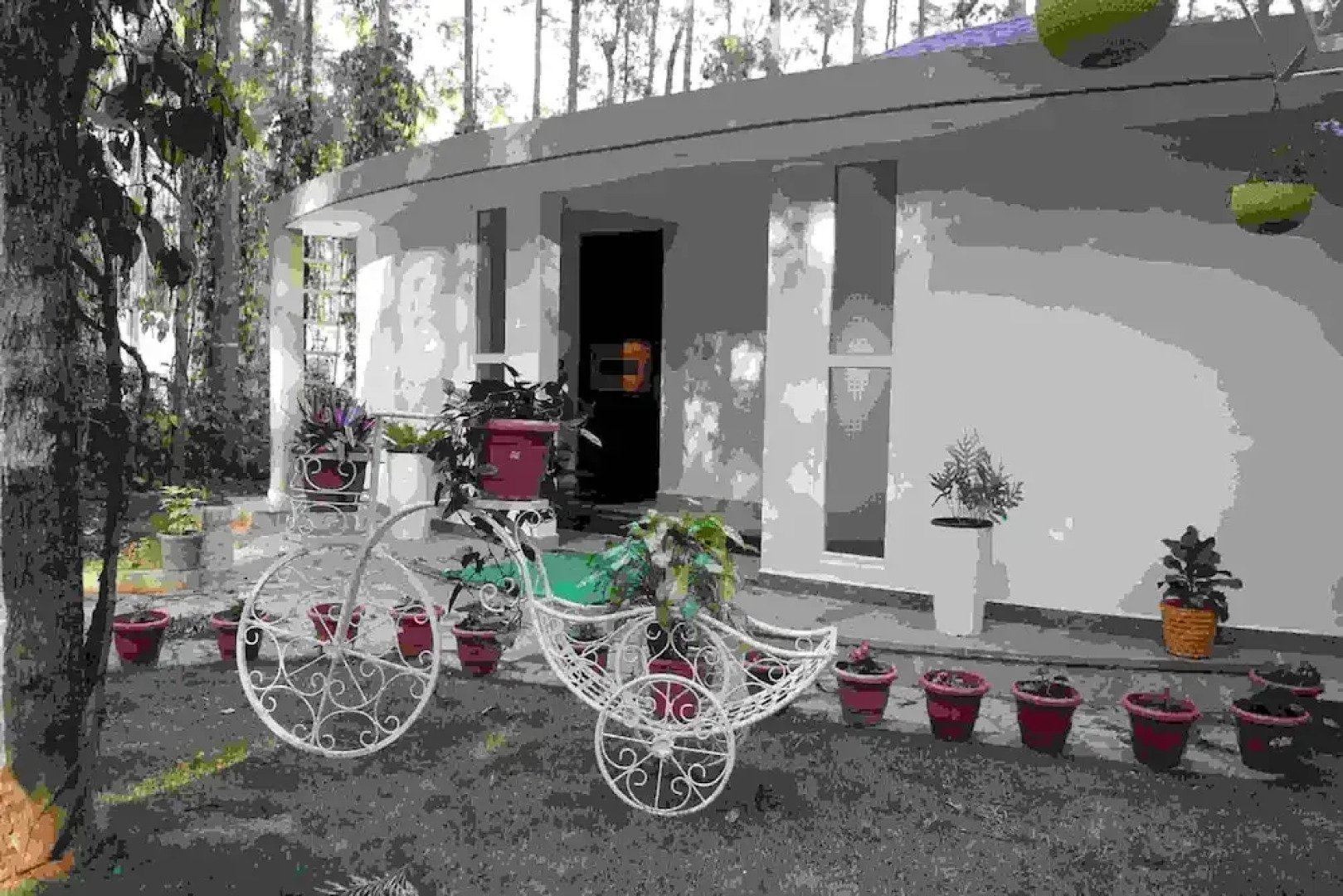One Piece Homestay