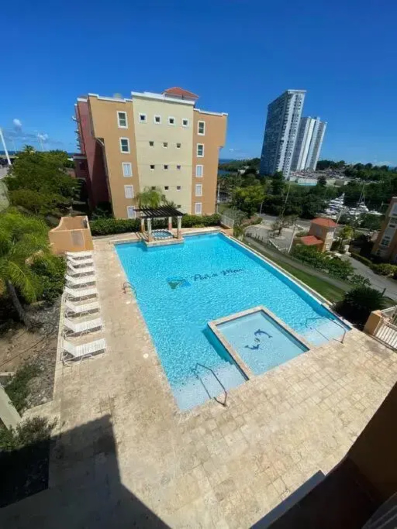 Palomino Island View