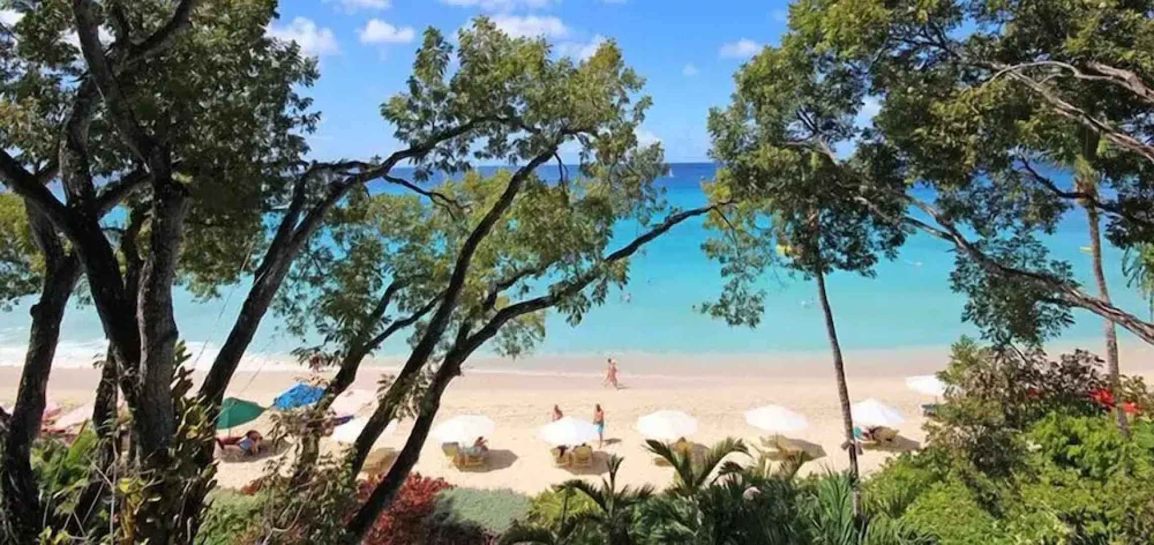 Coral Cove - Condo 11