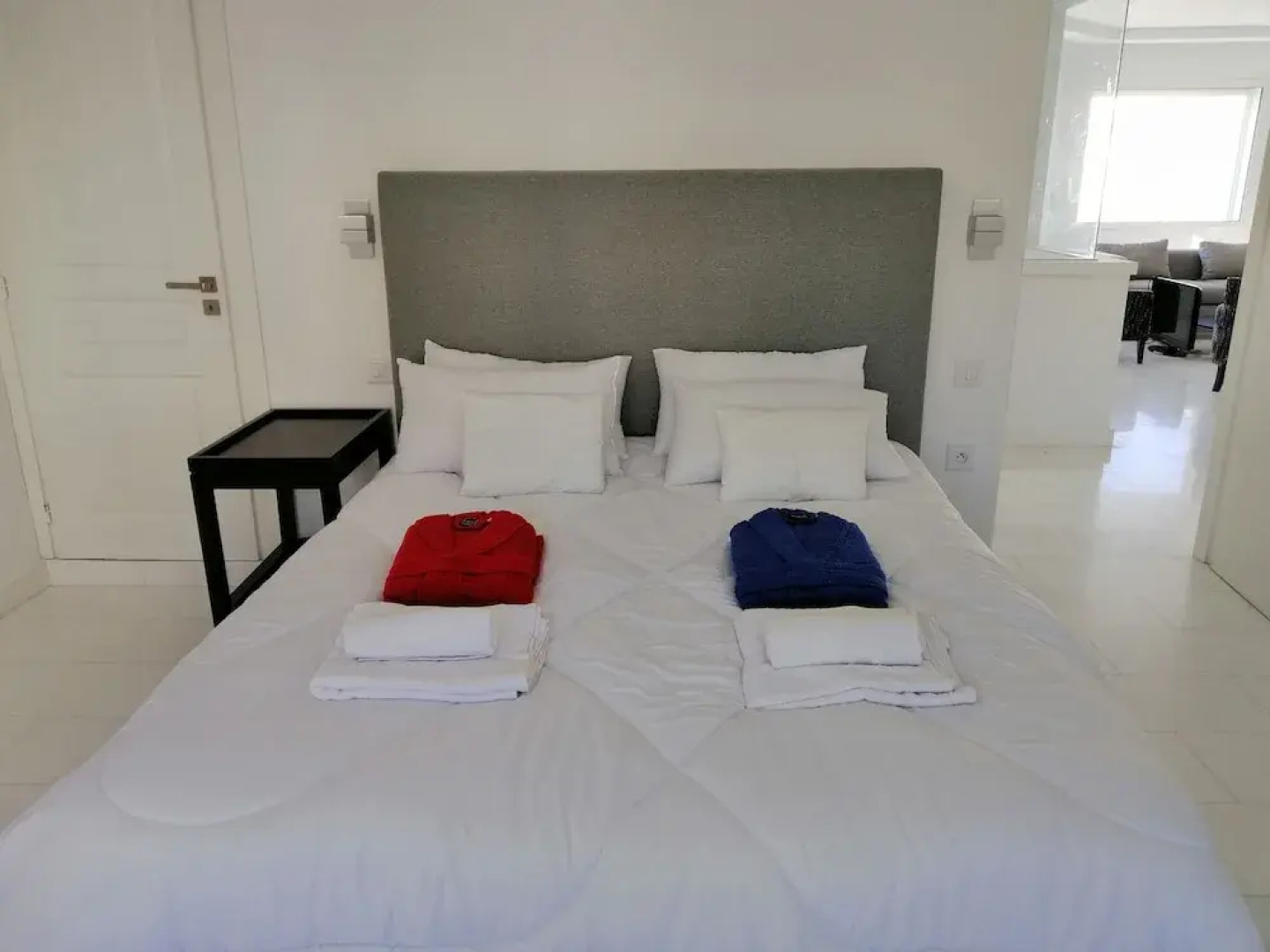 Luxurious Apartment in le Palace