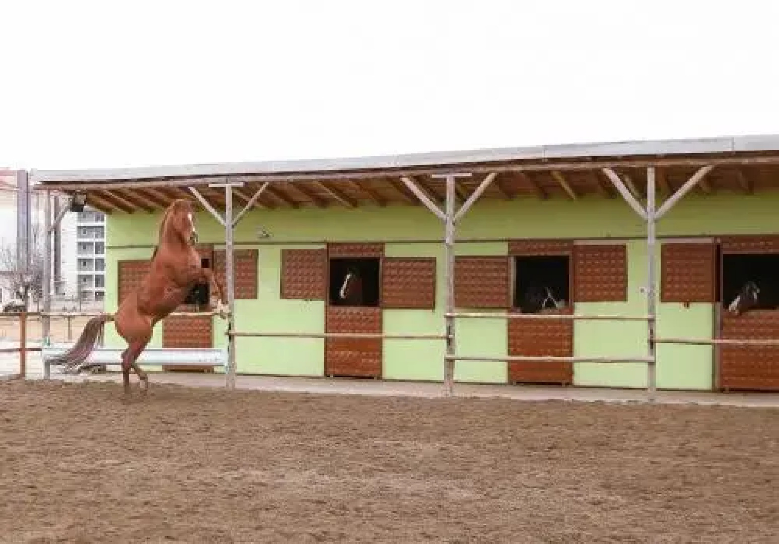 Afyon Can Termal Apart