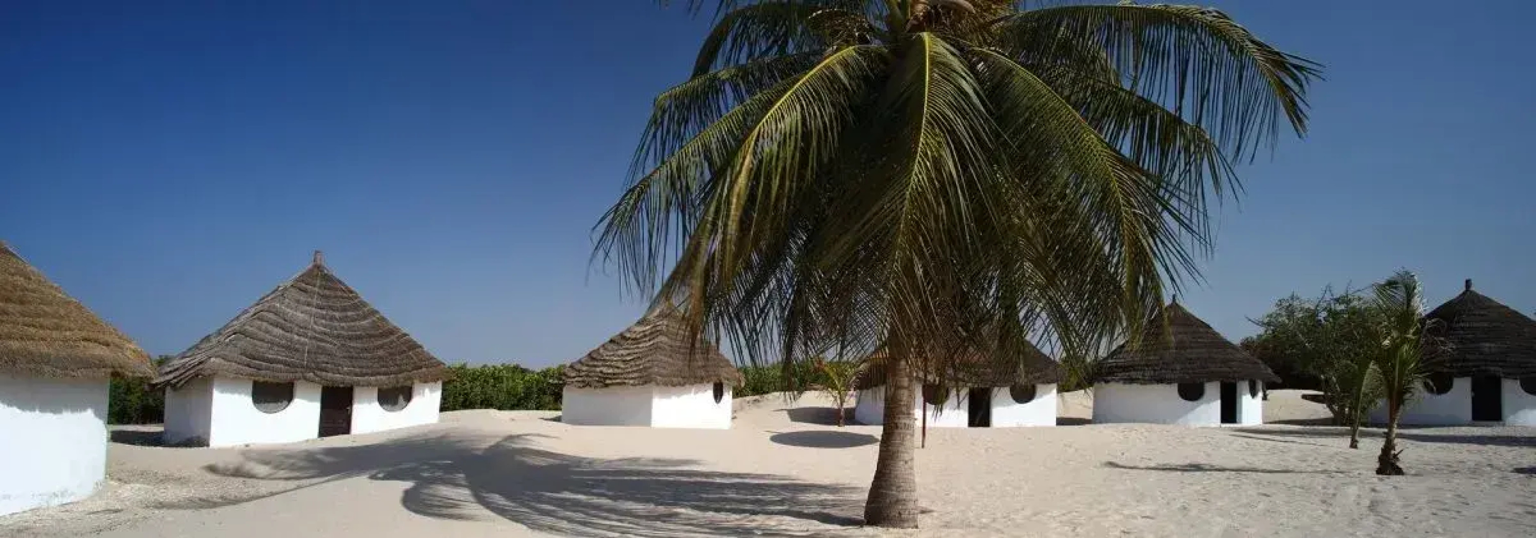 Hotel Les Paletuviers