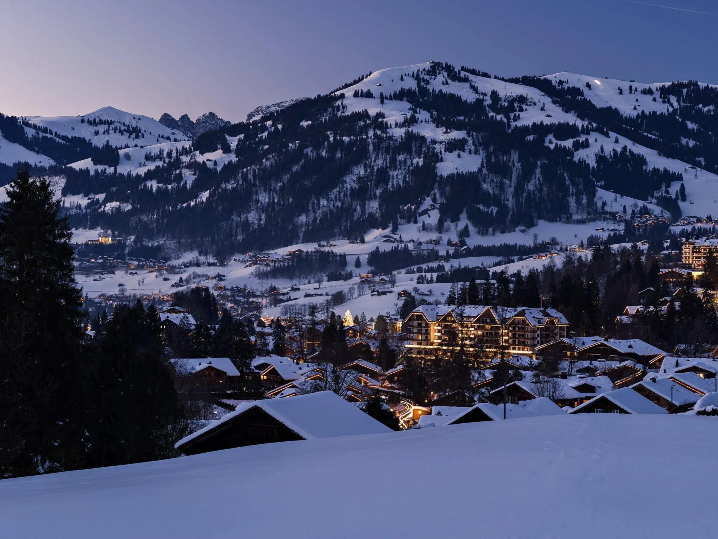 Park Gstaad