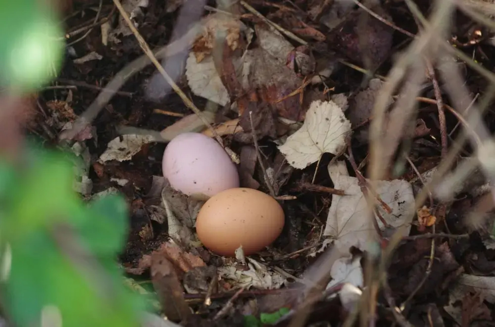 Château de la Giraudière