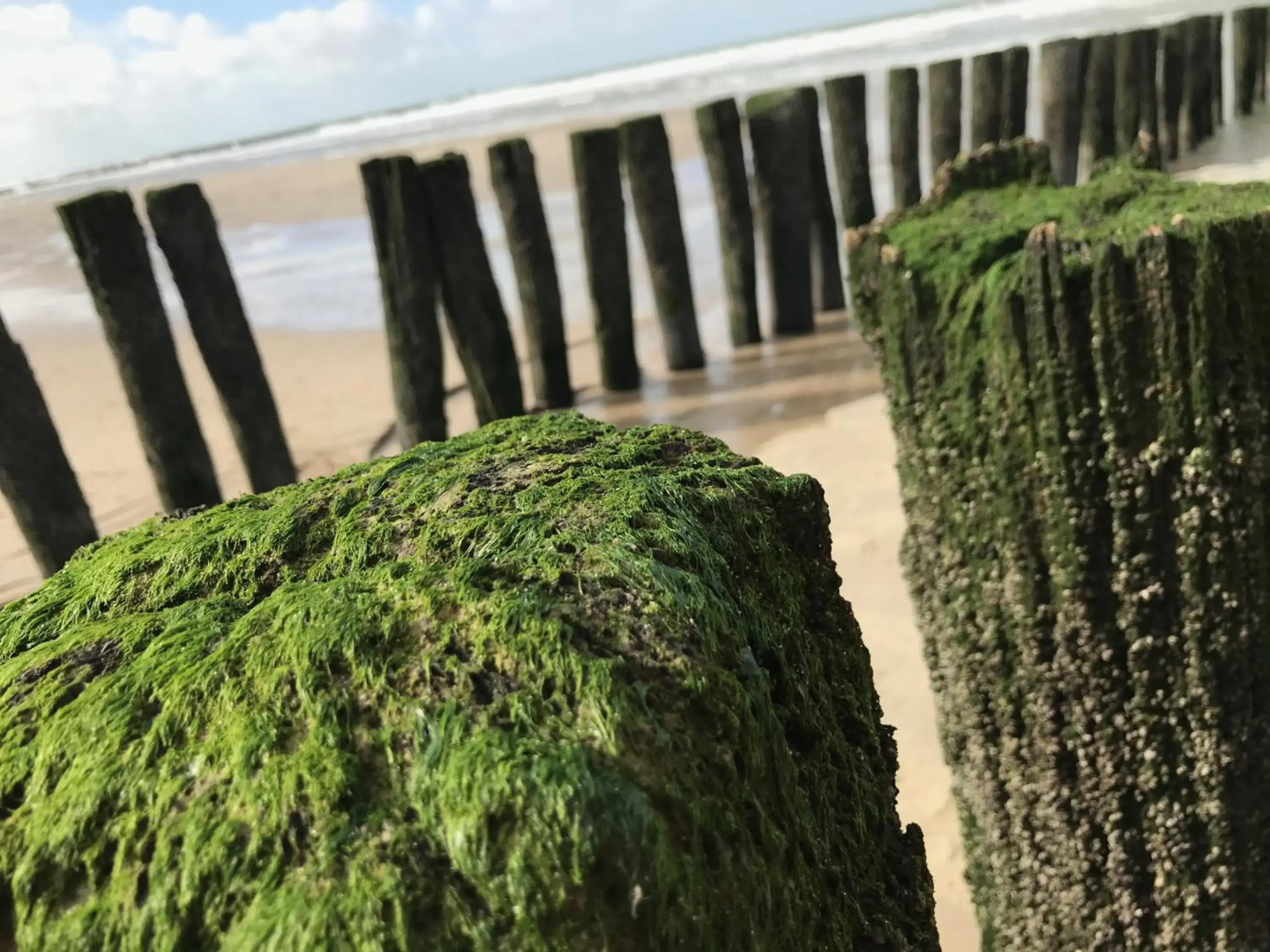 Näher am Wasser kann man nicht wohnen!