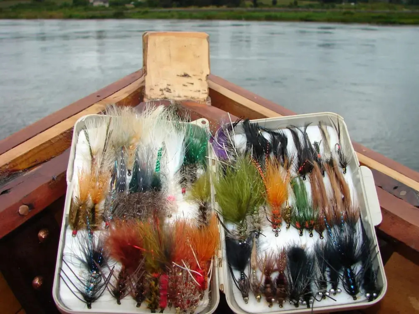 Cabanas y Piscina Rucamalen