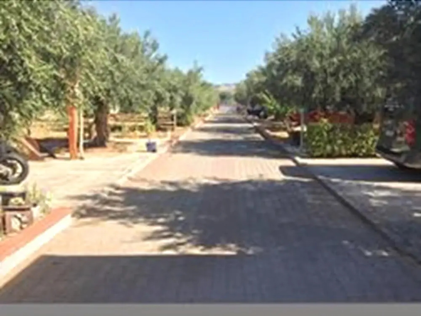 B&B Parco Degli Ulivi