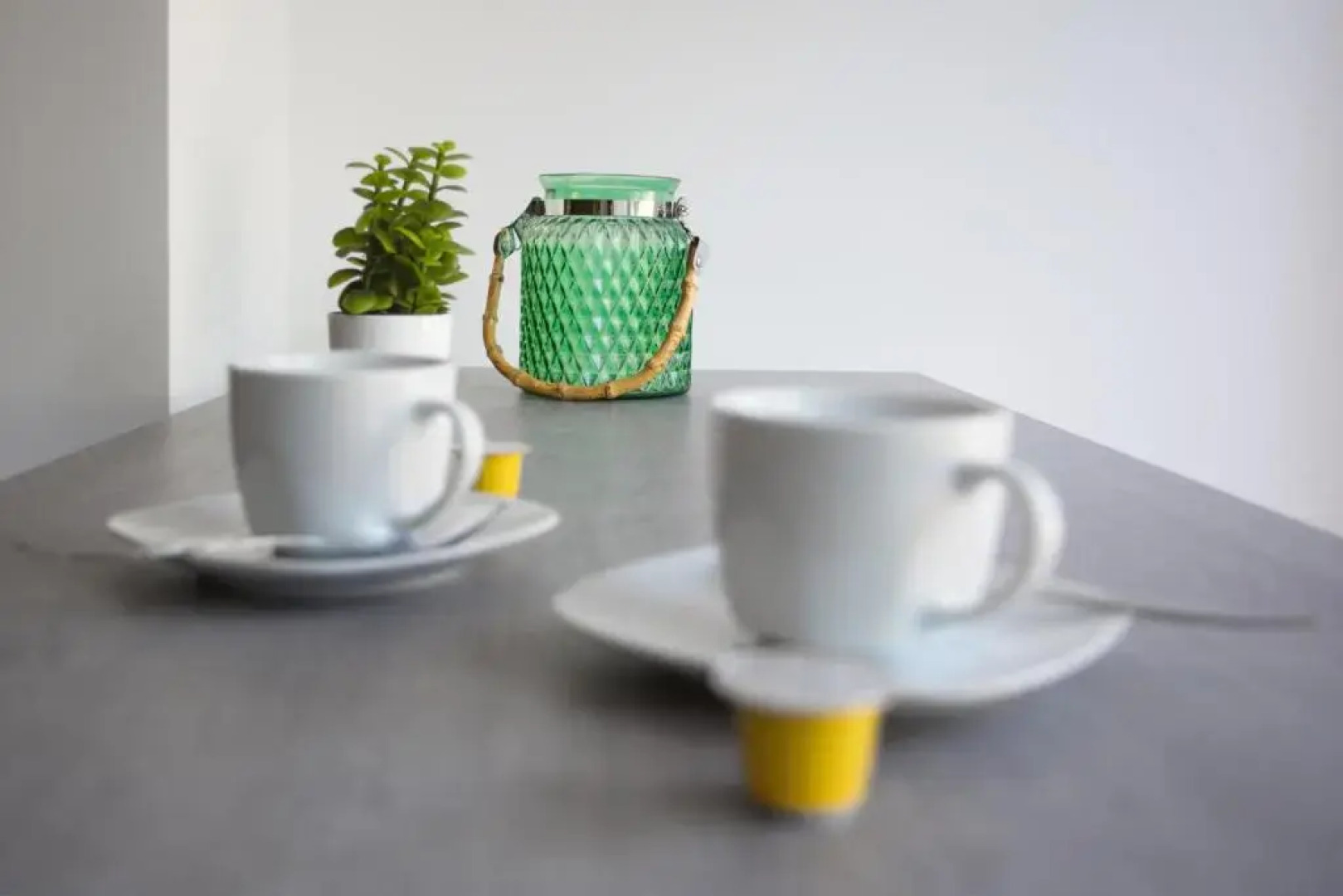 Joli studio avec jardin bord de mer