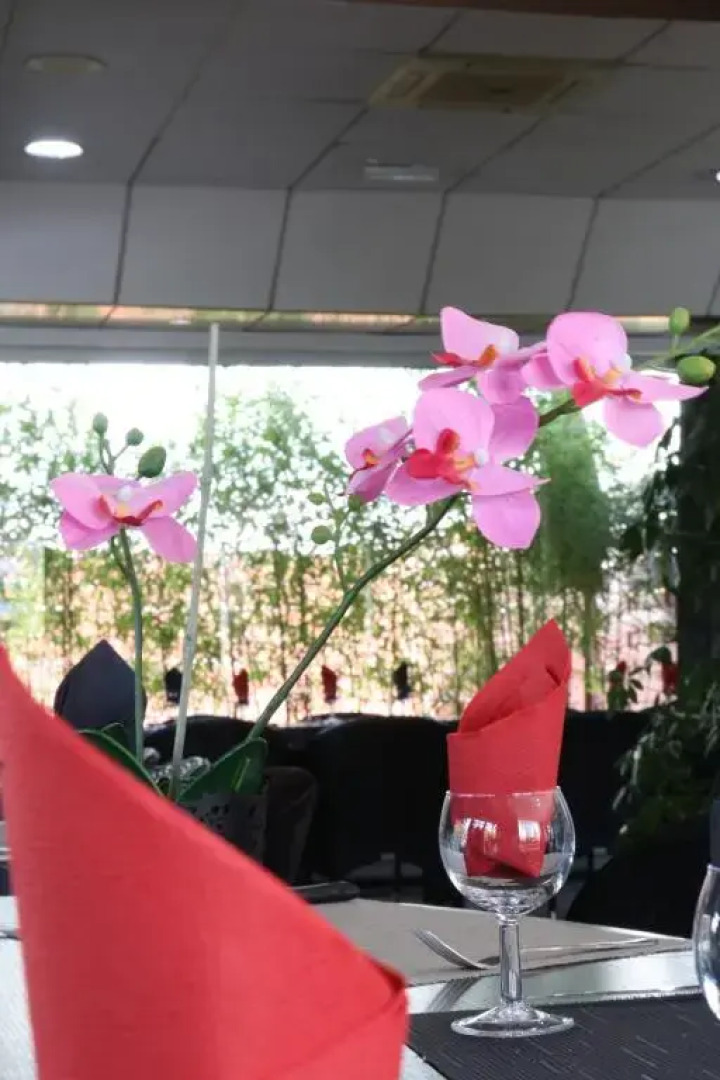 Hôtel Restaurant Clément Ader