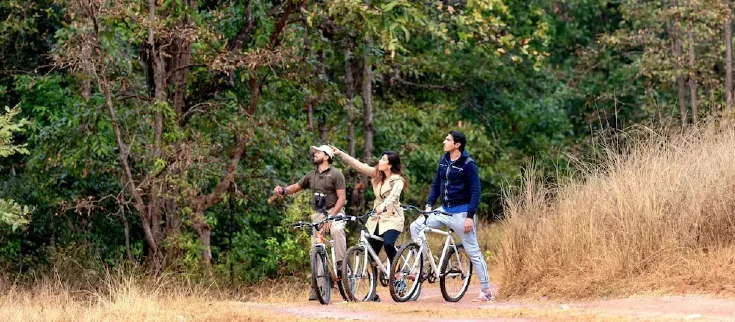 Banjaar Tola A Taj Safari Kanha National Park