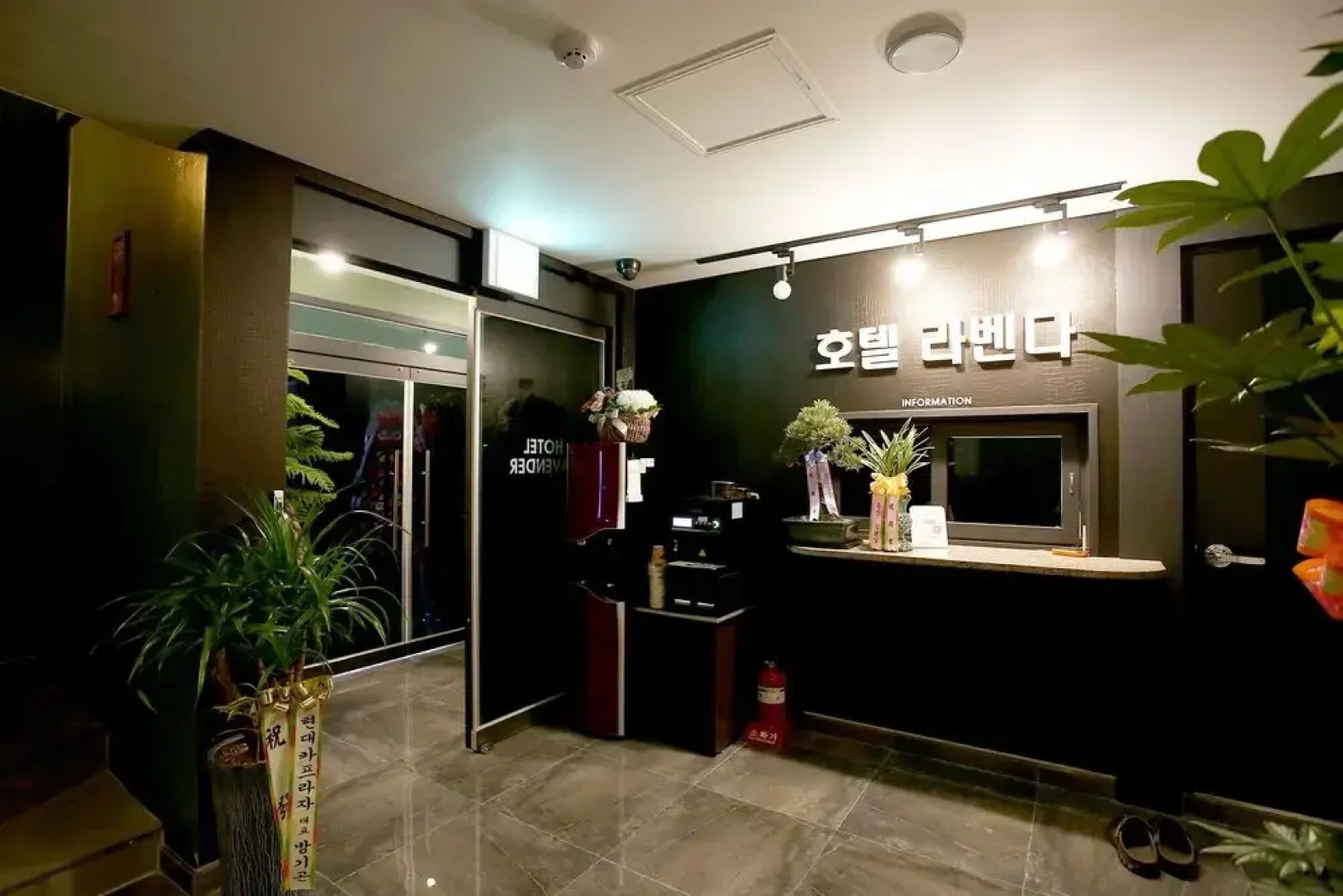 Chuncheon Hotel Lavender