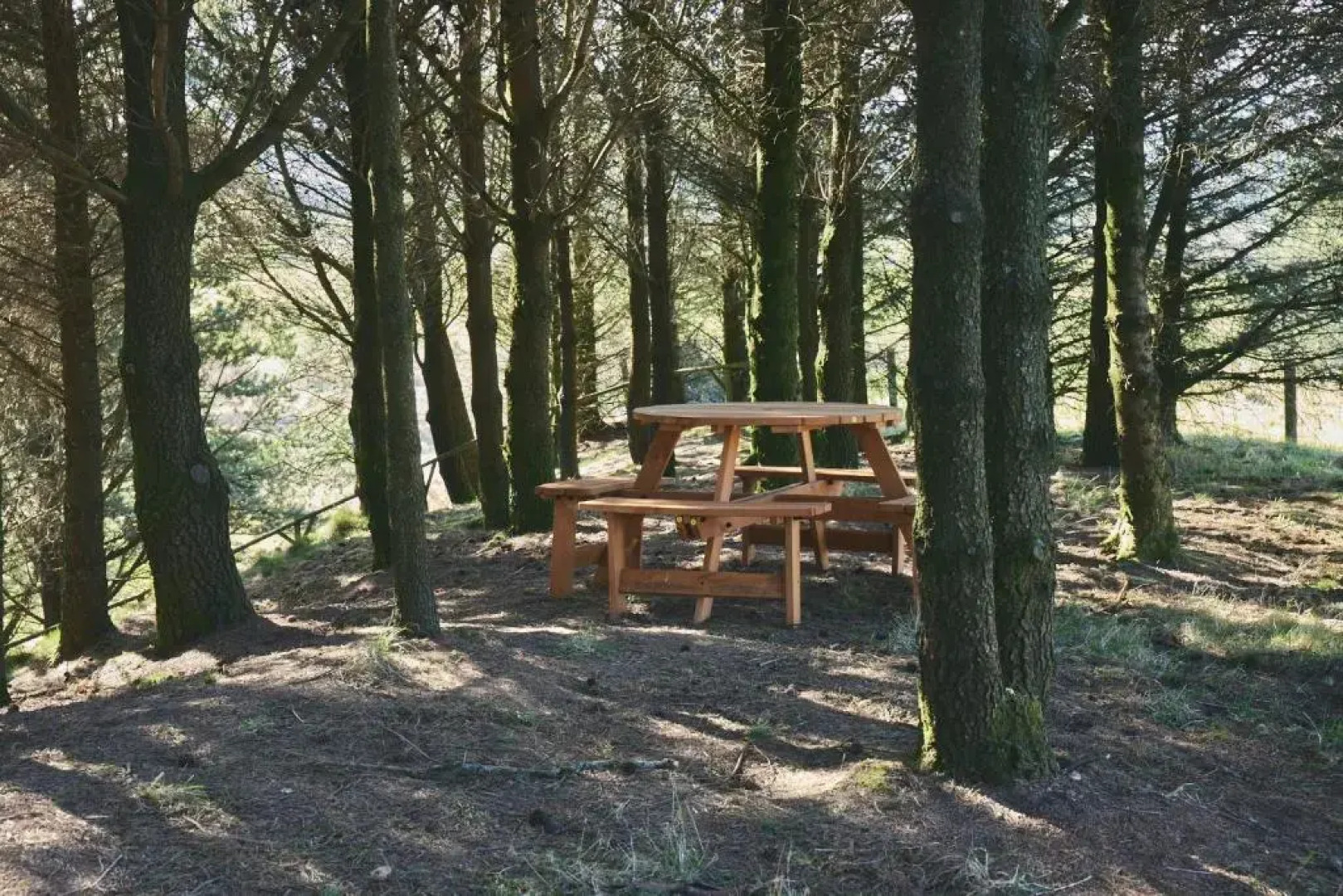 Raven Yurt - Yurtopia