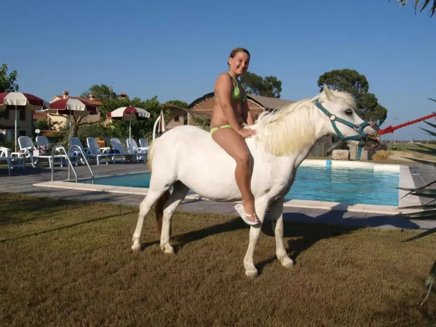 Azienda Agrituristica Il Poggetto Delle Spighe