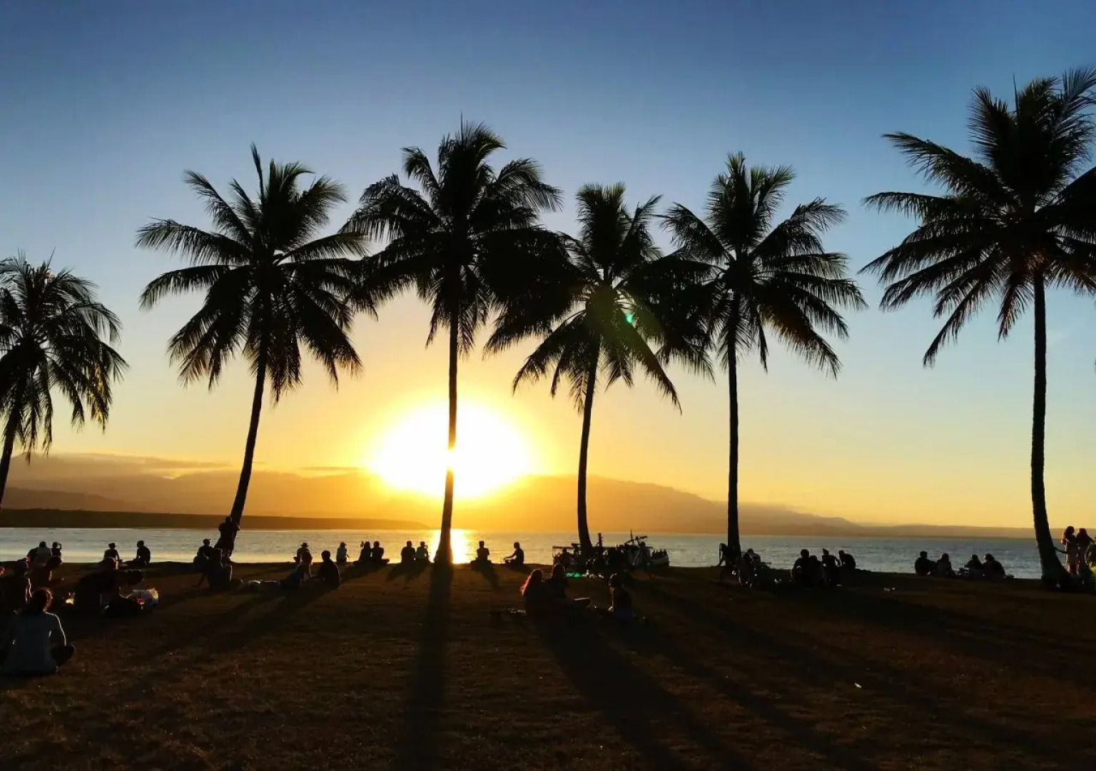 Lychee Tree Holiday Apartments