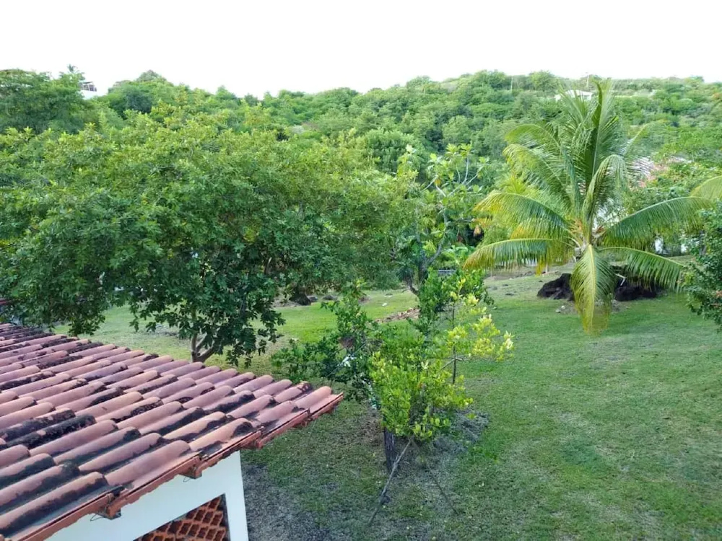 Apartment with 2 Bedrooms in Le Marin, with Furnished Garden And Wifi - 2 Km From the Beach