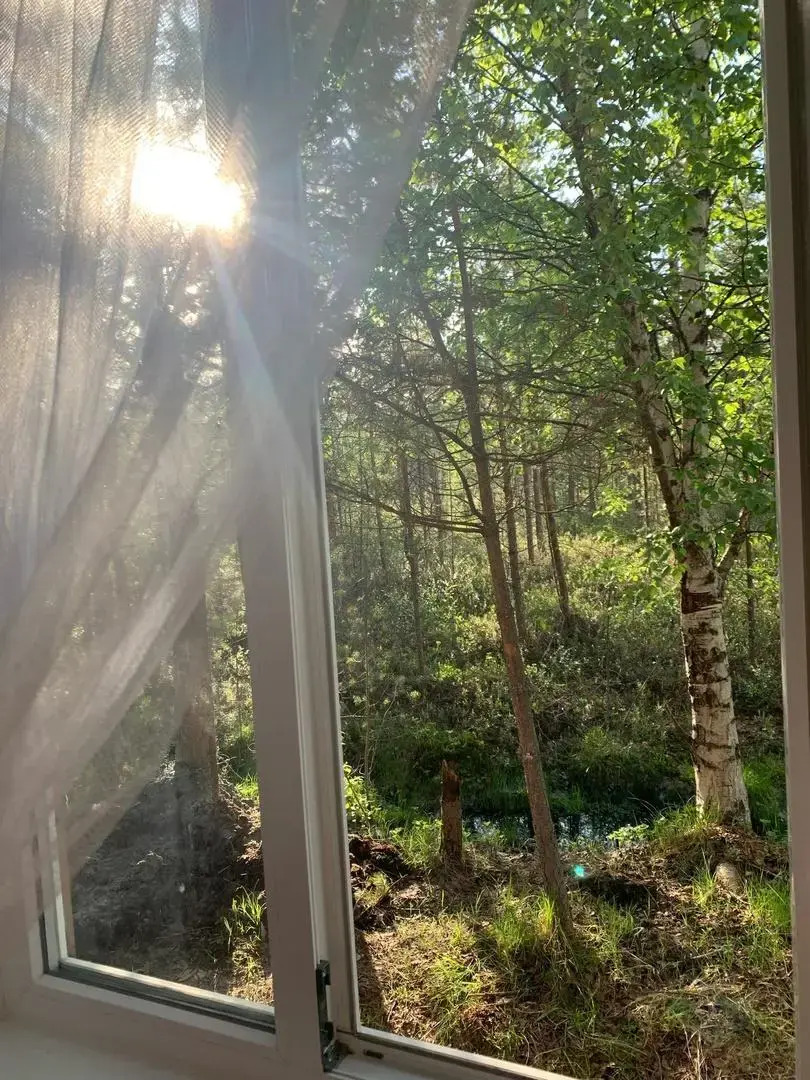 Вереск на локации Тайга