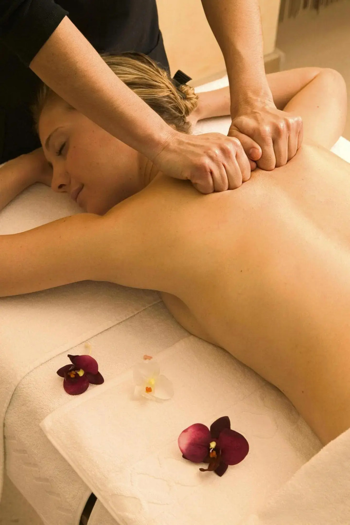 Terraced House in Domaine de Saint-endreol With Golf, SPA and Communal Pool